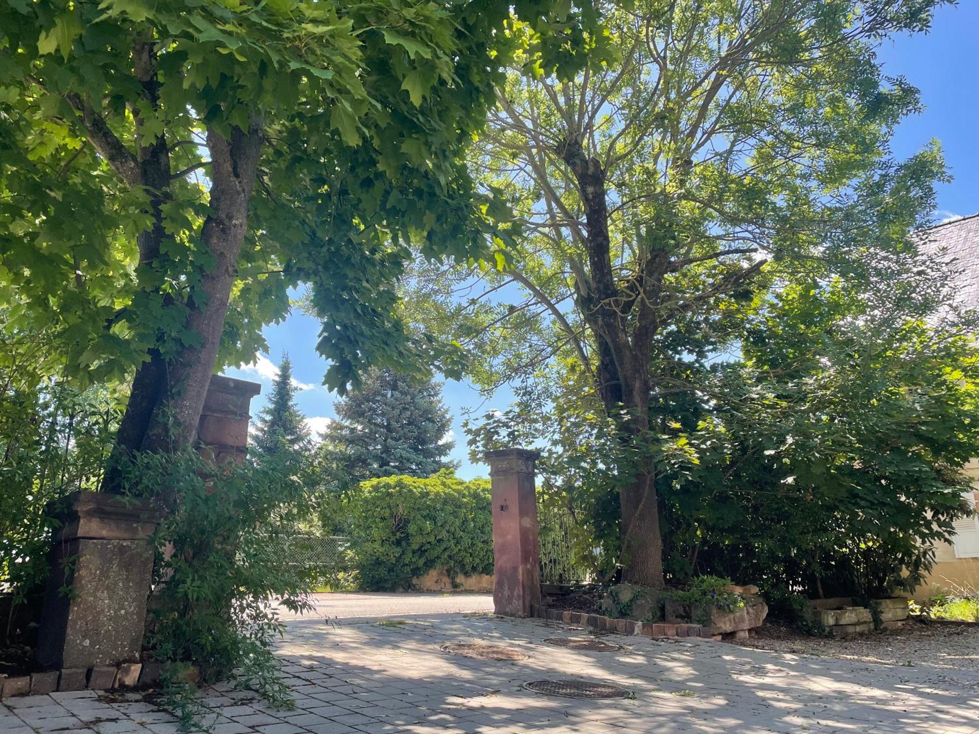 La Grange De Sophie Daire Berstett Dış mekan fotoğraf