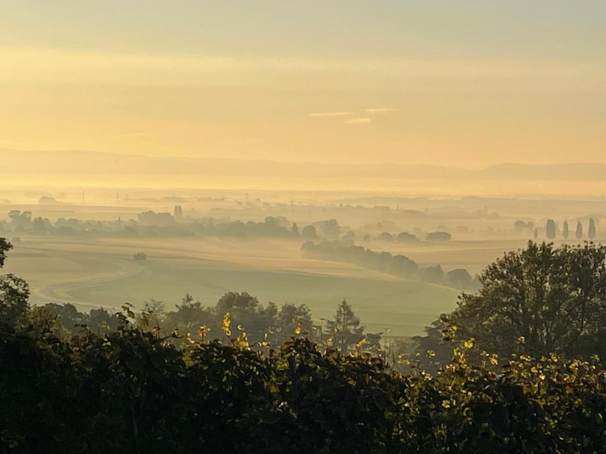 La Grange De Sophie Daire Berstett Dış mekan fotoğraf